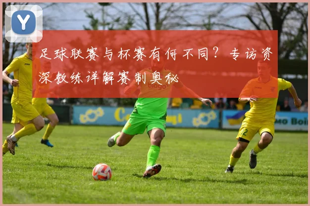 足球联赛与杯赛有何不同?专访资深教练详解赛制奥秘